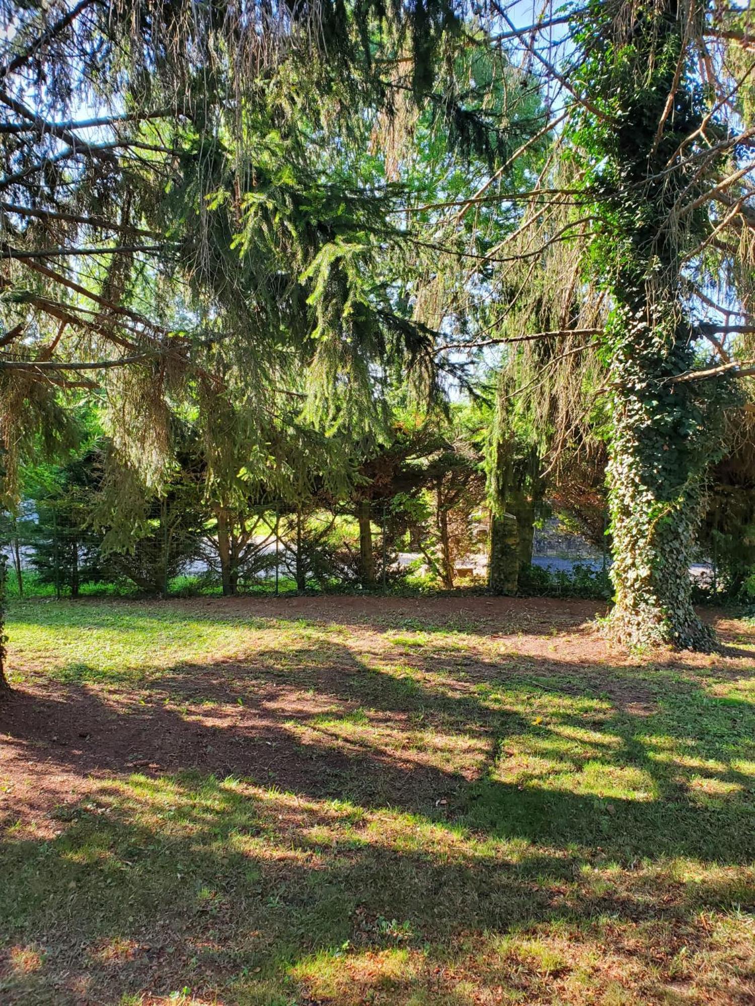 Belle Maison Sud Seine-Et-Marne Rubelles Exteriér fotografie